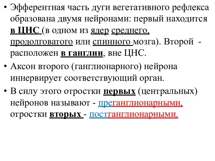 Эфферентная часть дуги вегетативного рефлекса образована двумя нейронами: первый находится в