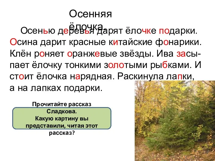 Какой стала ёлочка? Что в ней необычного? Что это были за