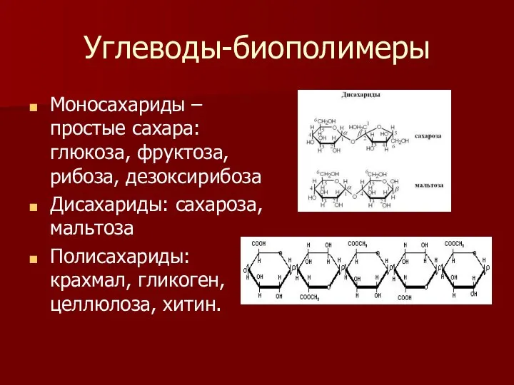 Углеводы-биополимеры Моносахариды – простые сахара: глюкоза, фруктоза, рибоза, дезоксирибоза Дисахариды: сахароза,