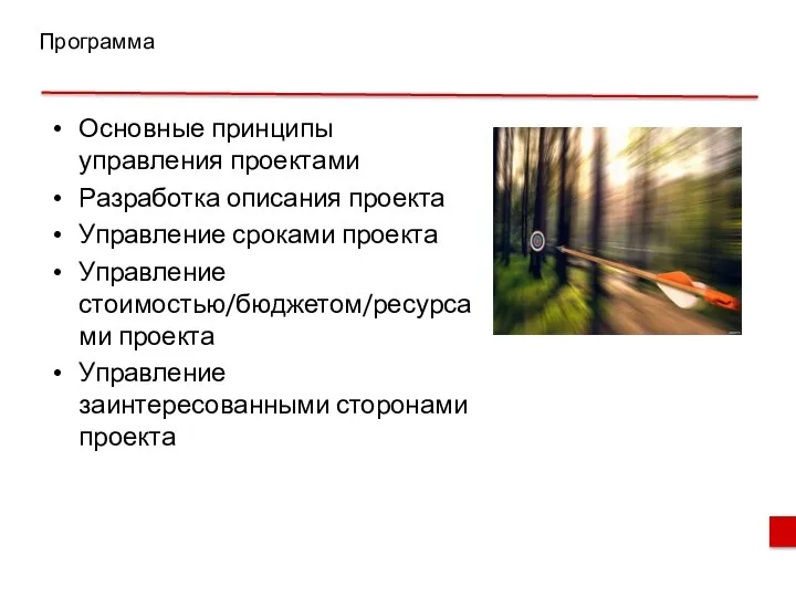 Программа Основные принципы управления проектами Разработка описания проекта Управление сроками проекта