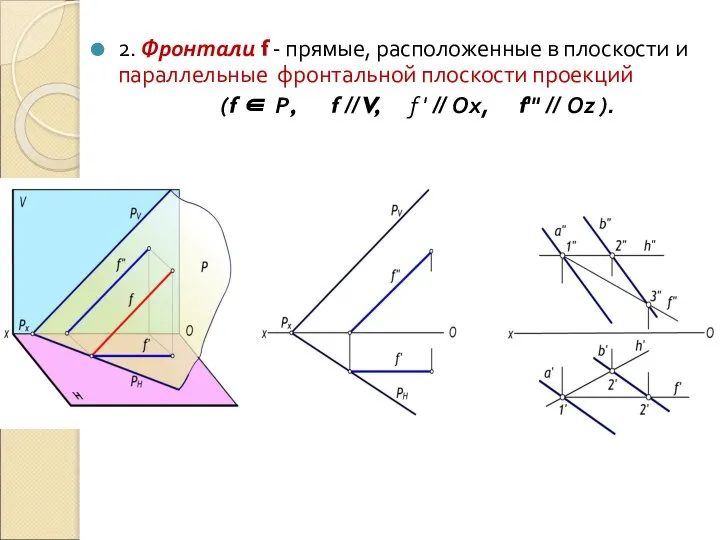 2. Фронтали f - прямые, расположенные в плоскости и параллельные фронтальной