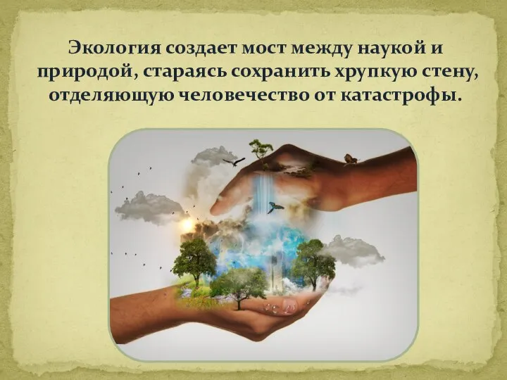 Экология создает мост между наукой и природой, стараясь сохранить хрупкую стену, отделяющую человечество от катастрофы.