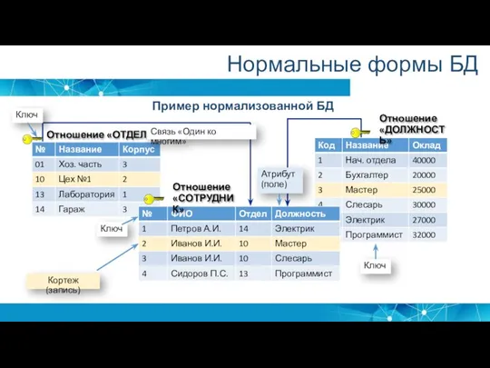 Нормальные формы БД Отношение «ОТДЕЛ» Отношение «СОТРУДНИК» Отношение «ДОЛЖНОСТЬ» Кортеж (запись)