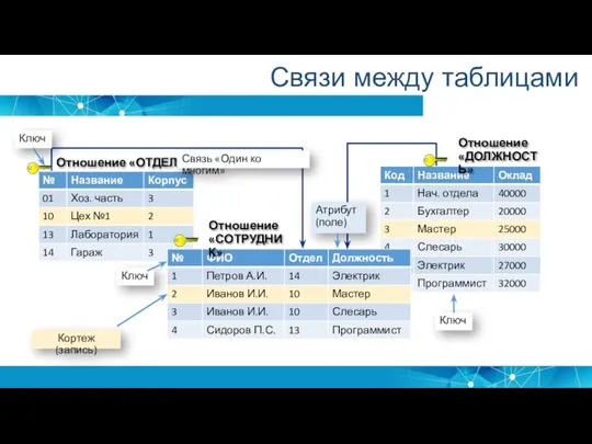 Связи между таблицами Отношение «ОТДЕЛ» Отношение «СОТРУДНИК» Отношение «ДОЛЖНОСТЬ» Кортеж (запись)