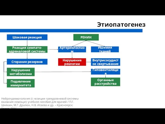 Этиопатогенез Шоковая реакция Реакция симпато-адреналовой системы Сгорание резервов Артериолоспазм РЕНИН Ишемия