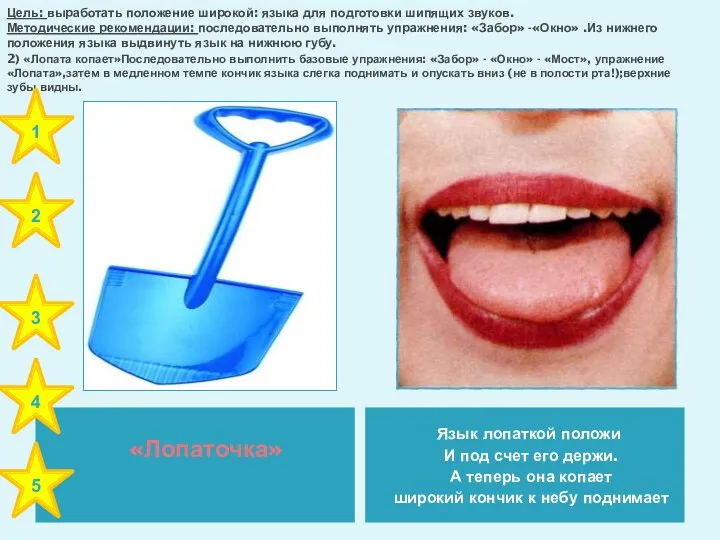 Цель: выработать положение широкой: языка для подготовки шипящих звуков. Методические рекомендации: