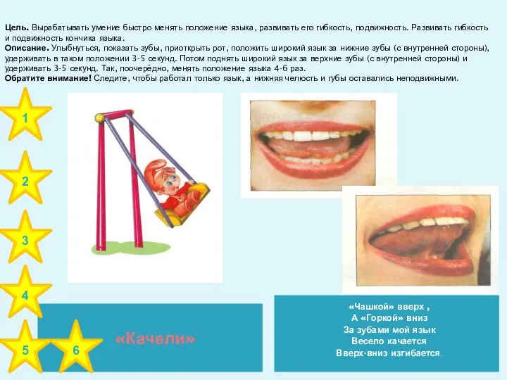 «Качели» «Чашкой» вверх , А «Горкой» вниз За зубами мой язык