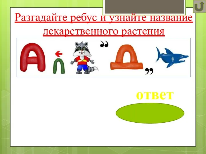 Разгадайте ребус и узнайте название лекарственного растения ответ