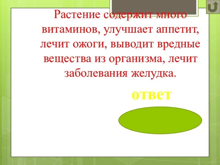 Растение содержит много витаминов, улучшает аппетит, лечит ожоги, выводит вредные вещества