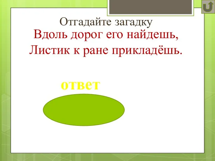 Отгадайте загадку ответ Вдоль дорог его найдешь, Листик к ране прикладёшь.