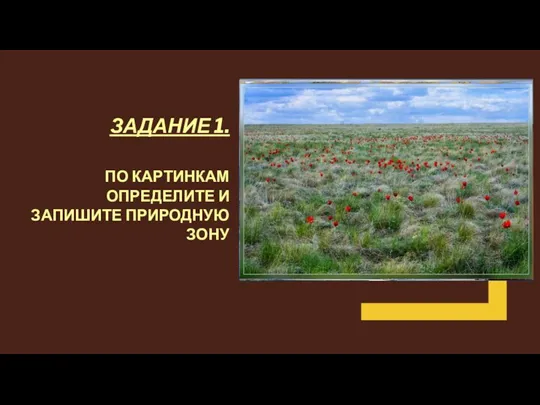 ЗАДАНИЕ 1. ПО КАРТИНКАМ ОПРЕДЕЛИТЕ И ЗАПИШИТЕ ПРИРОДНУЮ ЗОНУ