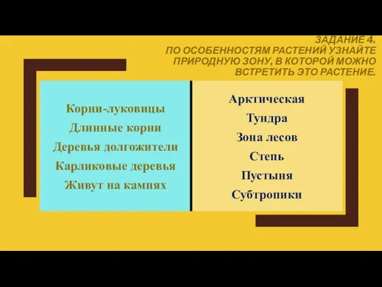 ЗАДАНИЕ 4. ПО ОСОБЕННОСТЯМ РАСТЕНИЙ УЗНАЙТЕ ПРИРОДНУЮ ЗОНУ, В КОТОРОЙ МОЖНО ВСТРЕТИТЬ ЭТО РАСТЕНИЕ.