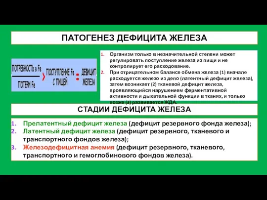 ПАТОГЕНЕЗ ДЕФИЦИТА ЖЕЛЕЗА СТАДИИ ДЕФИЦИТА ЖЕЛЕЗА Прелатентный дефицит железа (дефицит резервного