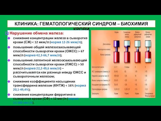 КЛИНИКА: ГЕМАТОЛОГИЧЕСКИЙ СИНДРОМ – БИОХИМИЯ КРОВИ Нарушение обмена железа: снижение концентрации