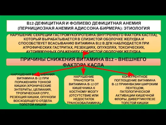 В12-ДЕФИЦИТНАЯ И ФОЛИЕВО ДЕФИЦИТНАЯ АНЕМИЯ (ПЕРНИЦИОЗНАЯ АНЕМИЯ АДИССОНА-БИРМЕРА): ЭТИОЛОГИЯ ПРИЧИНЫ СНИЖЕНИЯ