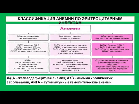 КЛАССИФИКАЦИЯ АНЕМИЙ ПО ЭРИТРОЦИТАРНЫМ ИНДЕКСАМ ЖДА – железодефицитная анемия; АХЗ –