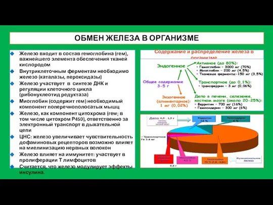 ОБМЕН ЖЕЛЕЗА В ОРГАНИЗМЕ Содержание и распределение железа в организме Железо