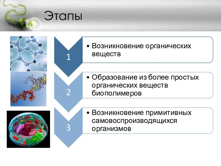 Этапы