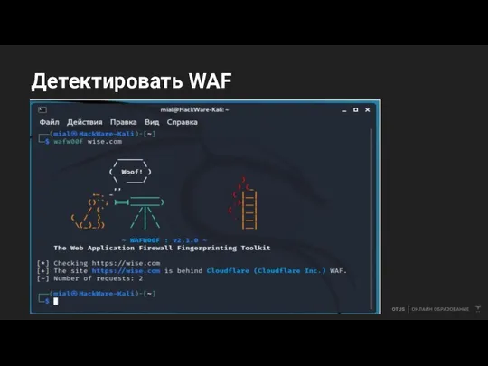 Детектировать WAF