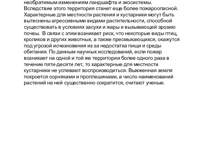 Американские ученые заявляют, что лесные пожары в южной части американского штата