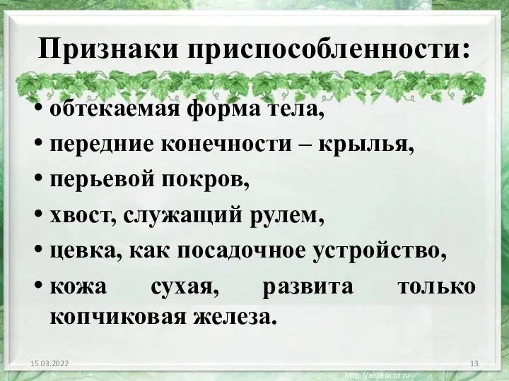 Признаки приспособленности: обтекаемая форма тела, передние конечности – крылья, перьевой покров,