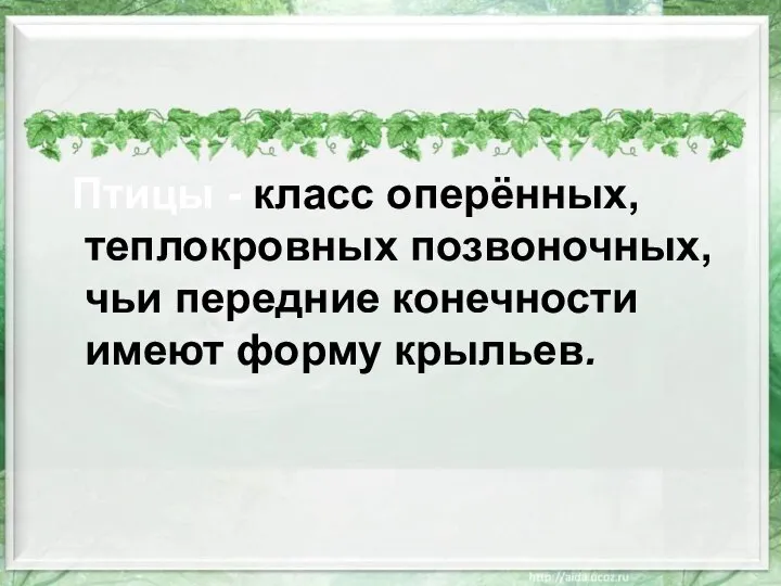 класс оперённых, теплокровных позвоночных, чьи передние конечности имеют форму крыльев. Птицы -