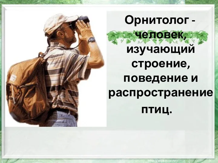 Орнитолог - человек, изучающий строение, поведение и распространение птиц.