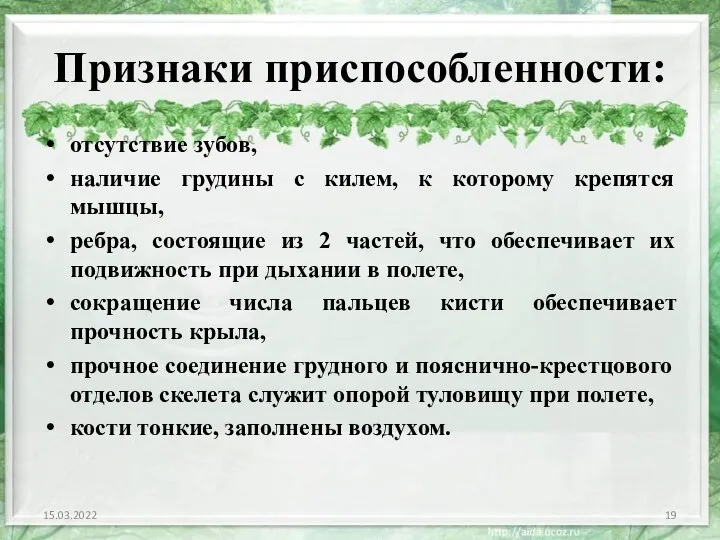 Признаки приспособленности: отсутствие зубов, наличие грудины с килем, к которому крепятся