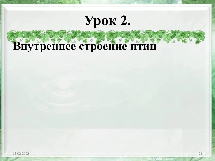 Урок 2. Внутреннее строение птиц 15.03.2022