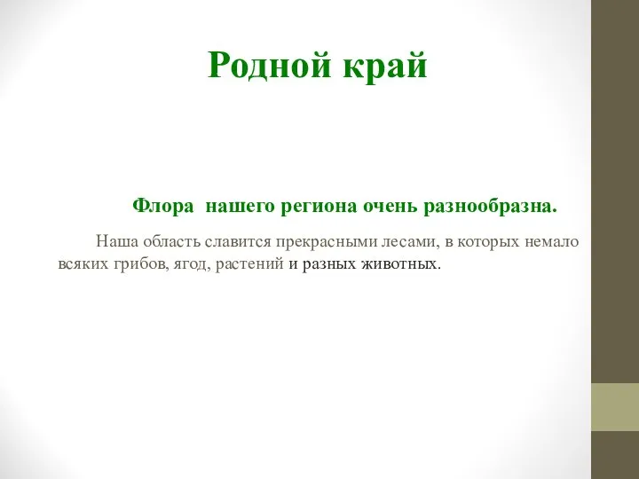 Флора нашего региона очень разнообразна. Наша область славится прекрасными лесами, в