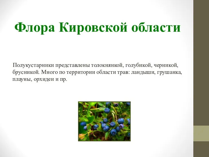 Флора Кировской области Полукустарники представлены толокнянкой, голубикой, черникой, брусникой. Много по