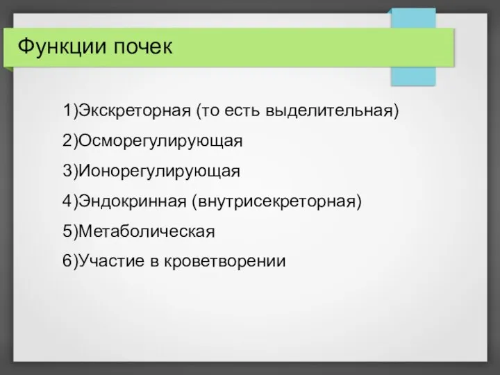 Функции почек 1)Экскреторная (то есть выделительная) 2)Осморегулирующая 3)Ионорегулирующая 4)Эндокринная (внутрисекреторная) 5)Метаболическая 6)Участие в кроветворении