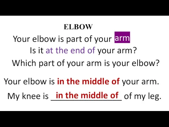 ELBOW Your elbow is part of your … . arm Is