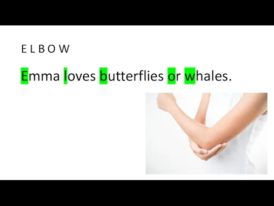 E L B O W Emma loves butterflies or whales.