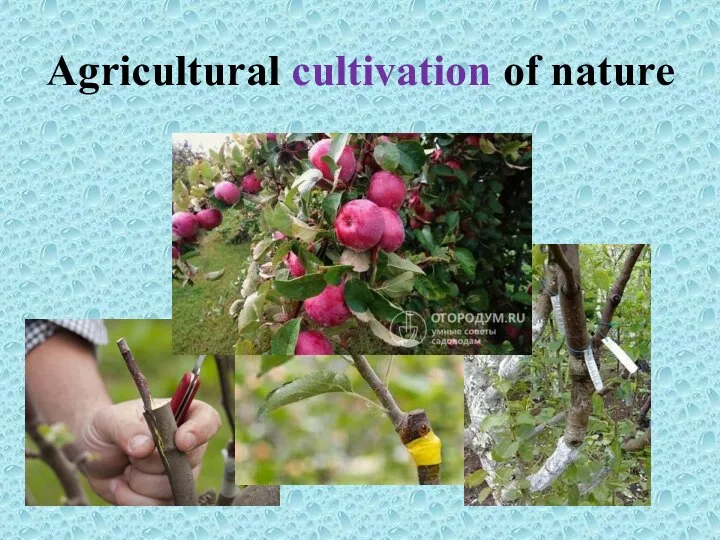 Agricultural cultivation of nature