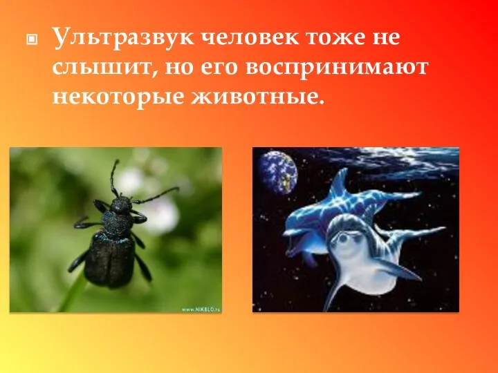 Ультразвук человек тоже не слышит, но его воспринимают некоторые животные.