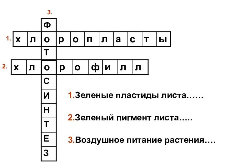 1.Зеленые пластиды листа…… 2.Зеленый пигмент листа….. 3.Воздушное питание растения…. 1. 2. 3.