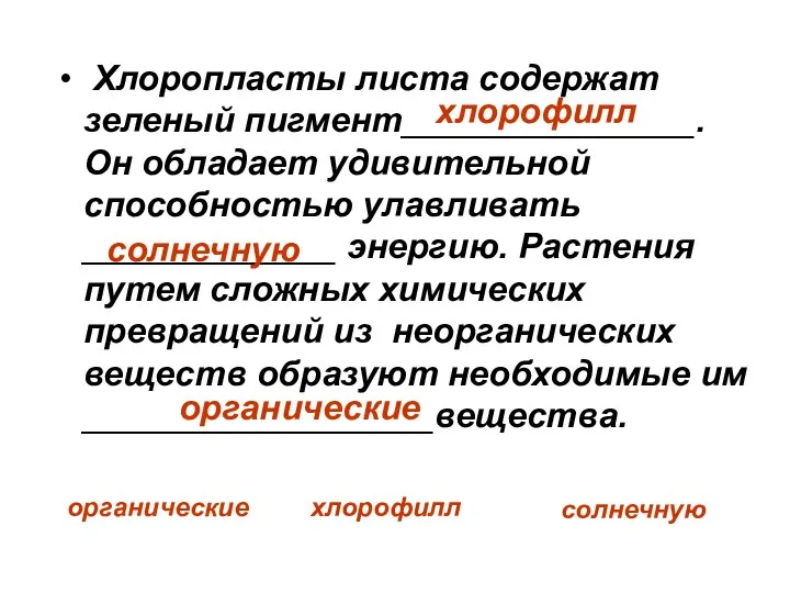 Хлоропласты листа содержат зеленый пигмент_______________. Он обладает удивительной способностью улавливать _____________