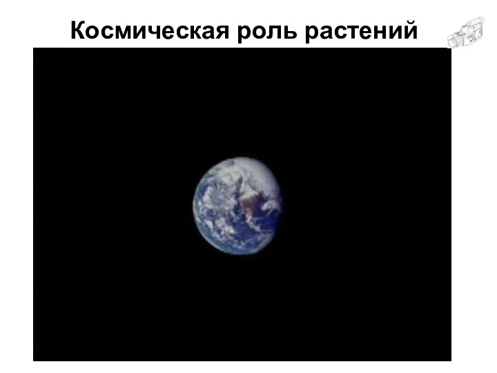 Космическая роль растений