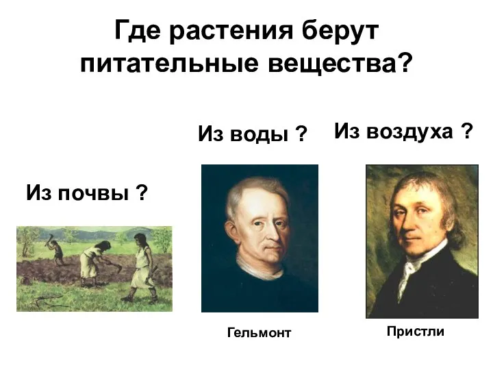 Где растения берут питательные вещества? Из почвы ? Из воды ? Из воздуха ? Гельмонт Пристли