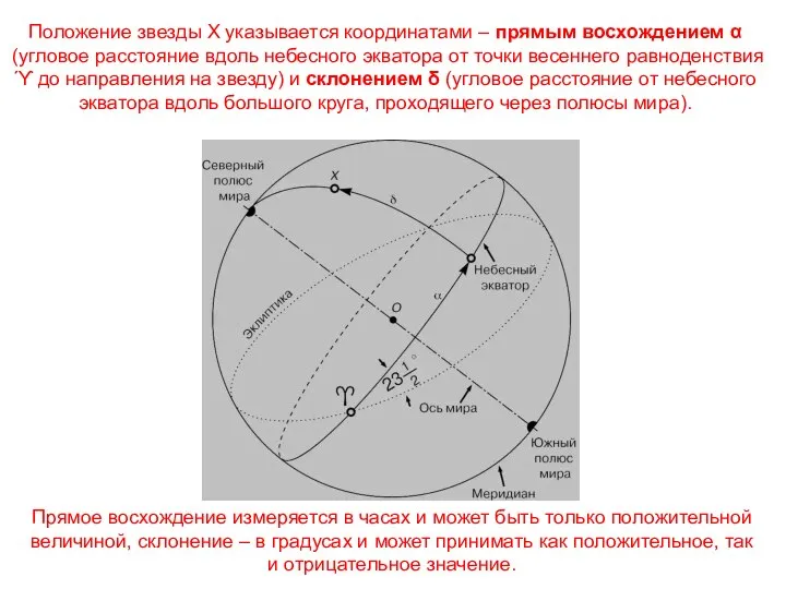 Положение звезды Х указывается координатами – прямым восхождением α (угловое расстояние