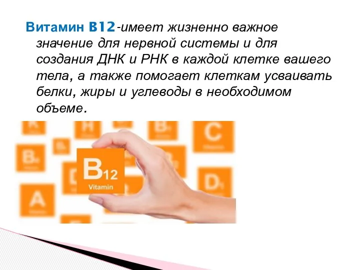 Витамин B12-имеет жизненно важное значение для нервной системы и для создания