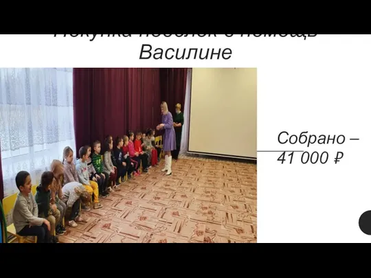 Покупка поделок в помощь Василине Собрано – 41 000 ₽