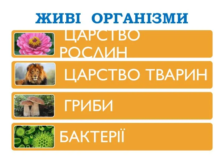 ЖИВІ ОРГАНІЗМИ