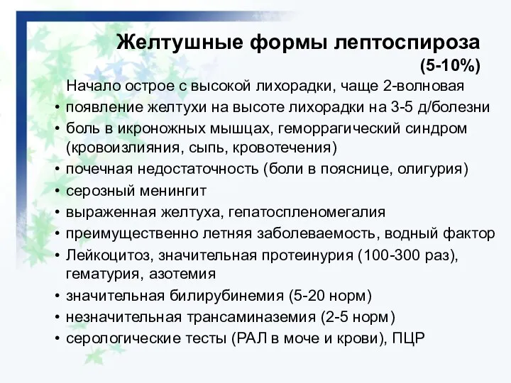 Желтушные формы лептоспироза (5-10%) Начало острое с высокой лихорадки, чаще 2-волновая