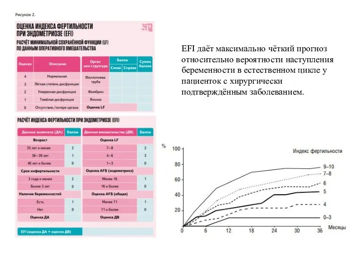 EFI даёт максимально чёткий прогноз относительно вероятности наступления беременности в естественном