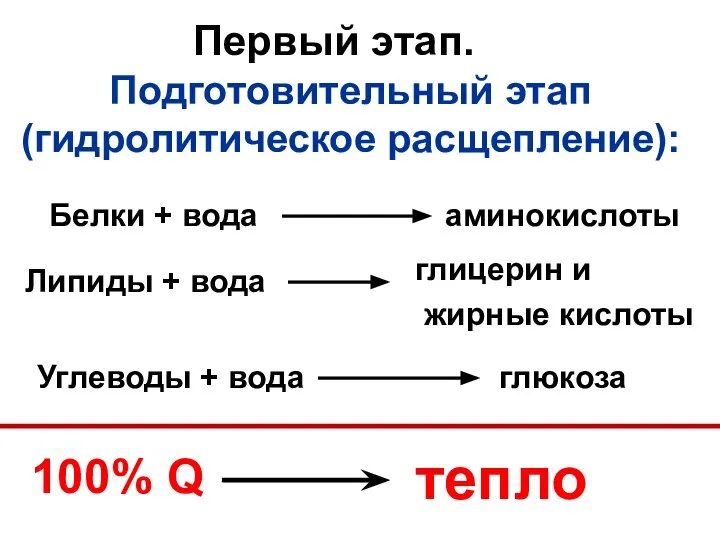 Первый этап. Подготовительный этап (гидролитическое расщепление): Белки + вода аминокислоты Липиды