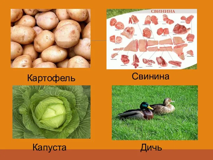 Картофель Капуста Свинина Дичь