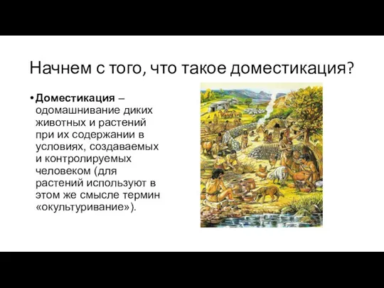 Начнем с того, что такое доместикация? Доместикация – одомашнивание диких животных