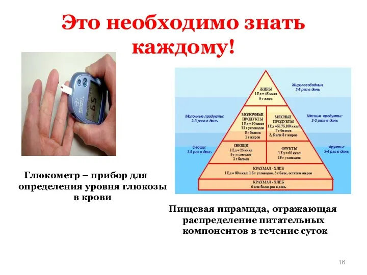 Пищевая пирамида, отражающая распределение питательных компонентов в течение суток Глюкометр –